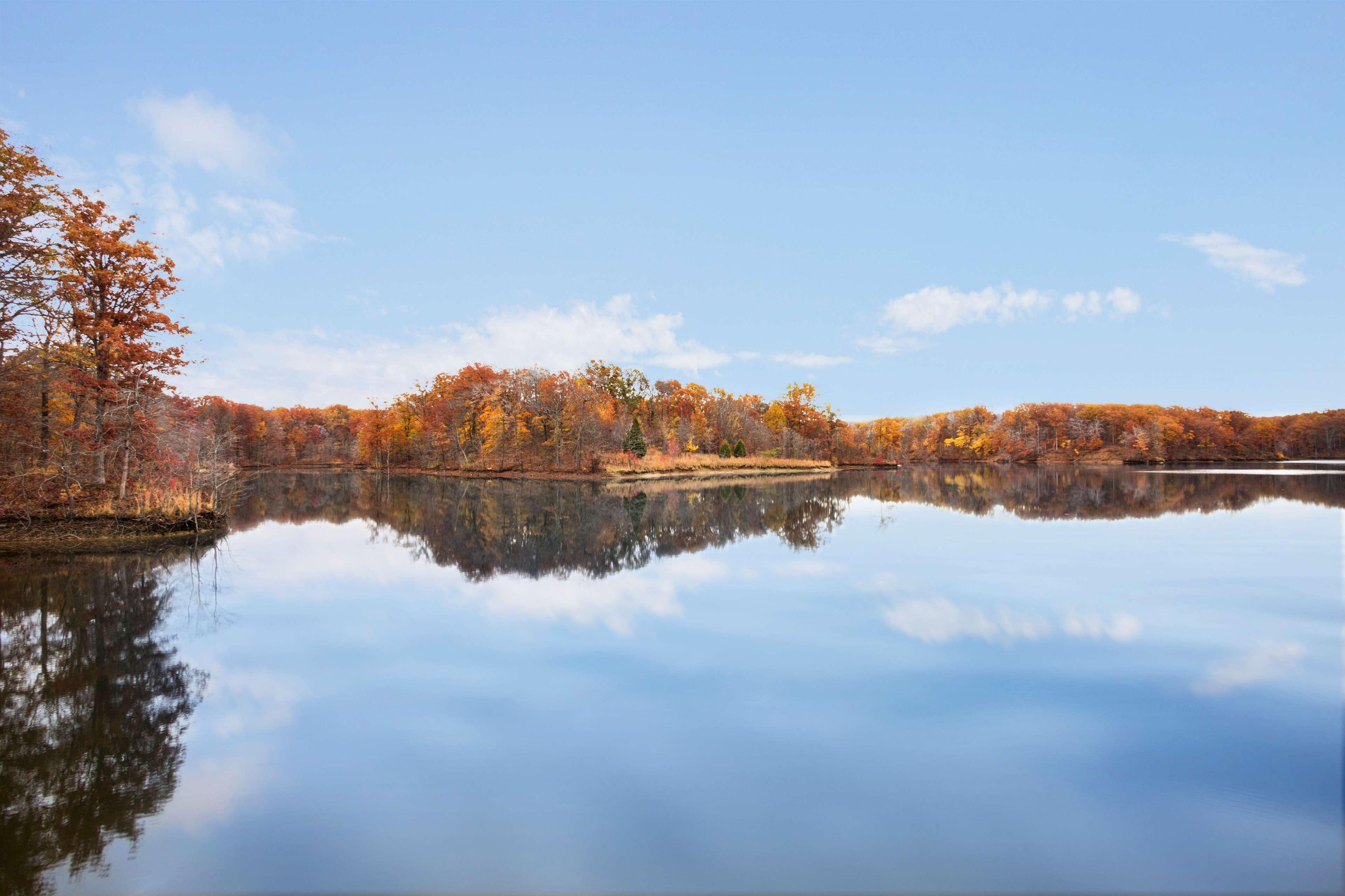 Hampton Inn Forrest City Dış mekan fotoğraf