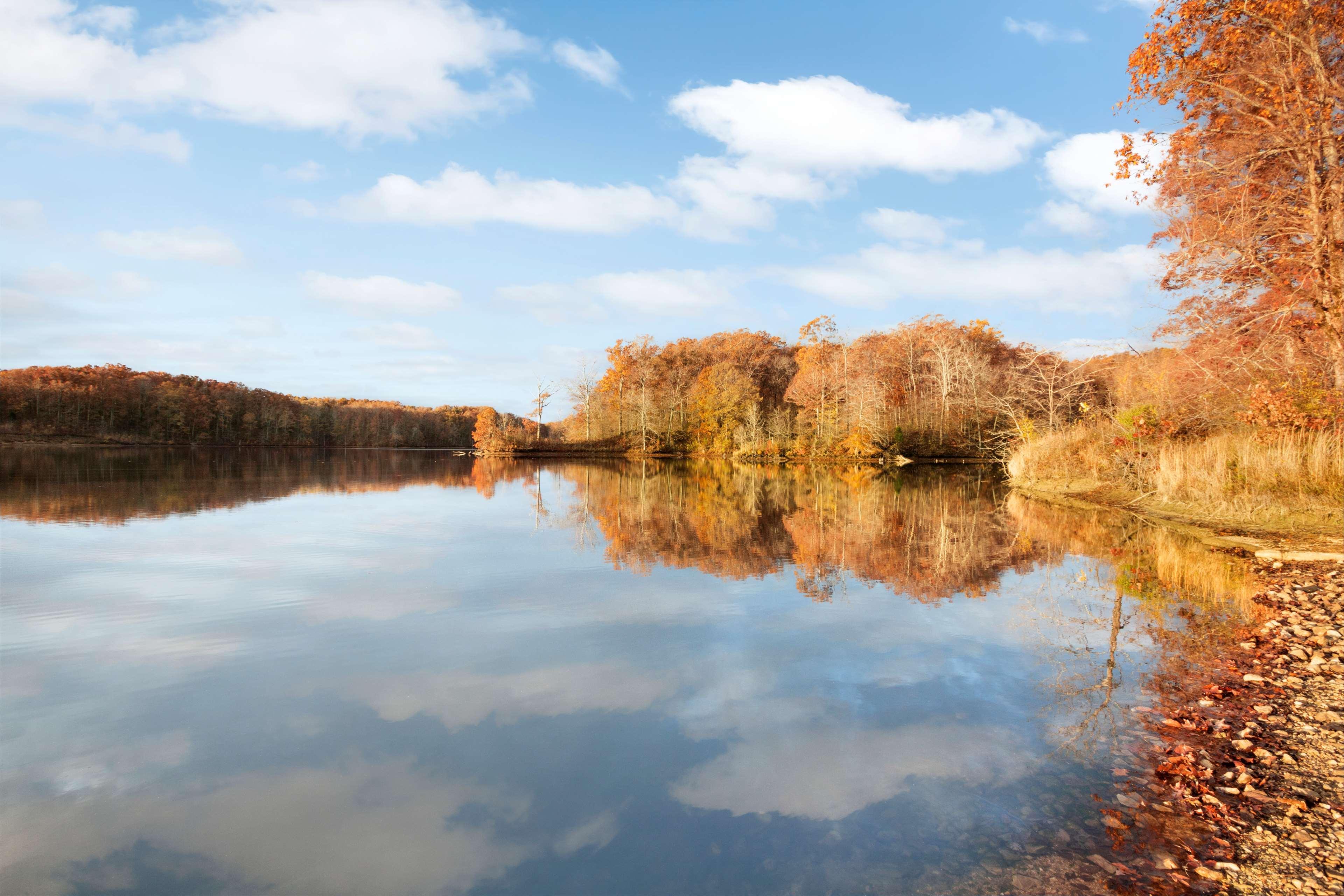 Hampton Inn Forrest City Dış mekan fotoğraf